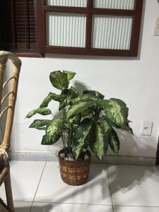 Casa de Praia em condomínio nas Palmeiras