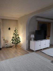 Old fashioned Santas House