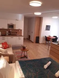 Vila Zuberec apartmán 105 - 特夫尔多辛