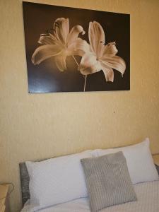 GO BIG ! Entire cozy House for max 8 people near city center