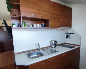 "Cozy Nest" 200m from GONDOLA