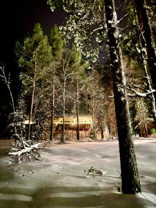 Aurora Lapland Ski in, forest view, 2 bdr, sauna, terrace, fireplace, wifi, Pyhä-Luosto National Park