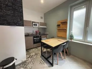 Superbe duplex climatisé avec Jardin - Trébons-de-Luchon