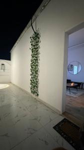 Al Aqeeq Al Hawi Stree