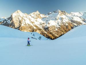 Appartements Bel appartement T2 refait a neuf avec piscine couverte de juin a fin septembre : photos des chambres