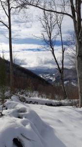 Appartements Bel appartement T2 refait a neuf avec piscine couverte de juin a fin septembre : photos des chambres