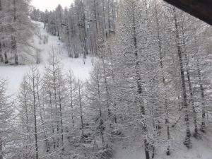 Appartements Duplex 6 personne au pied des pistes : photos des chambres