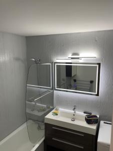 Grand studio Combloux - Vue Mont Blanc