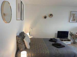 Studio cosy en centre-ville