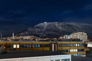 ARCTIC HOMES - The Royal Palace