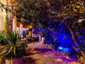 Apartments Aura - Comfort Studio Apartment 4 with shared swimming pool