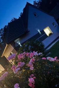 Apartment Pohorje Sun - Entire house