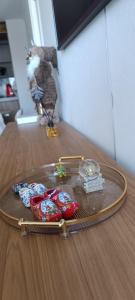 Departamento en el centro de Concepción