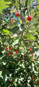 Amplia casa Villa Allende Golf