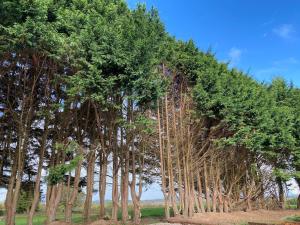 An Teach Tykillen Cosy Home