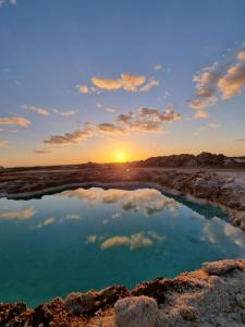 فندق النخيل