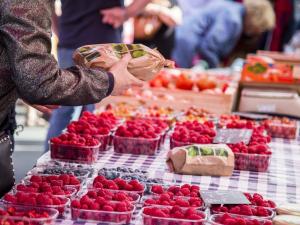Appartements Studio confortable a 300 m de la plage avec parking prive - FR-1-788-45 : photos des chambres