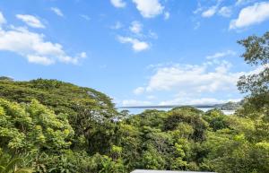 Casa amor del sol apartment # 3