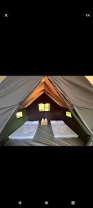 Rooftop budget tent