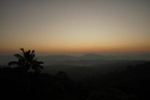 serene valley koppa hilltop homestay