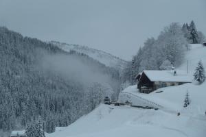 Appartements Chalet 