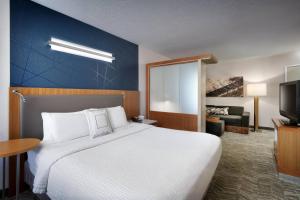 King Studio with Sofa Bed - Hearing Accessible room in SpringHill Suites by Marriott Provo