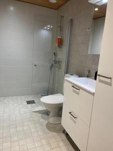 Marinan Portin Svingi A23 lemmikit sallittu