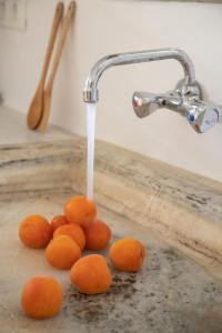 K Homes-Family Stone Suite