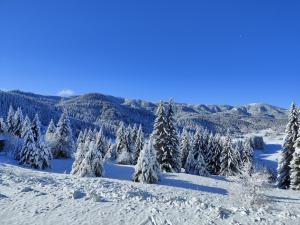 Panorama Stoykite Eurydice