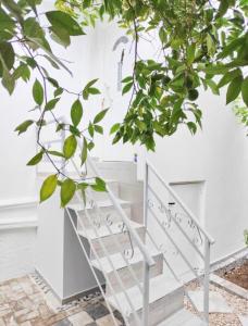 Nafplio Private Studio 2