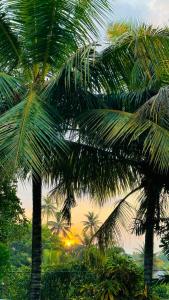 Mount House Hotel Apartment