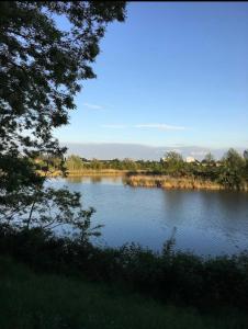 Appartements Le Cocon des Rives : photos des chambres