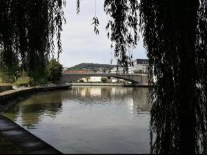 Appartements Le Cocon des Rives : photos des chambres