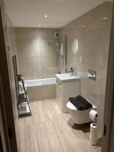 Modern spacious flat