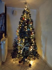 Lappartamento di Elena