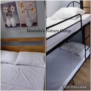 Marcelo Nature Camp Staycation