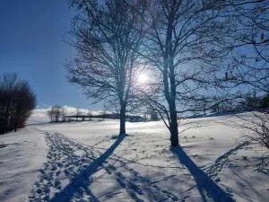 Blick auf die Sachsenhöhe - Fürstenwalde