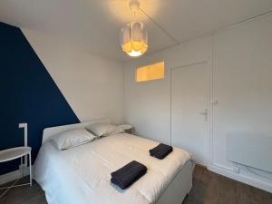 Appartements L-Ecrin Bleu : photos des chambres