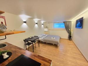 T3 Studio apartment