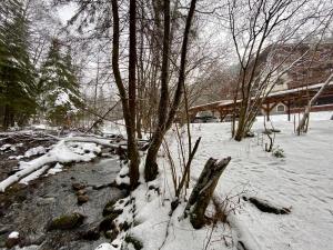 Apartment Amelia Tale, 10 min to Ski Chopok Jasna, Ski Tále, Ski Myto