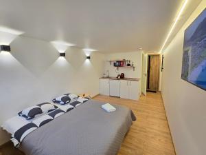 T6 Studio apartment