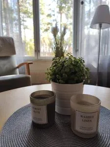 Honkatilat majoitus as 3 - 卡亚尼