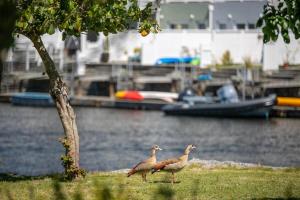 Stylish Canal Apartment