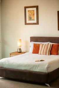 Waves 203 on Currumbin