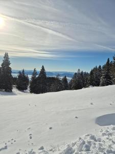New cosy apartment, smučišče Krvavec