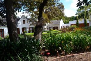 Lovely Family Home in the Winelands