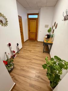 Vivienda rural el gobernador