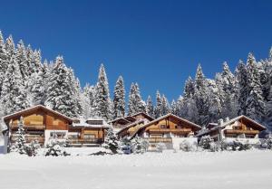 LAAX sonnige Gartenwohnung