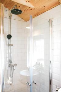 Shepherds Hut a tiny ecohouse near Dwingelderveld