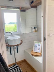 Shepherds Hut a tiny ecohouse near Dwingelderveld